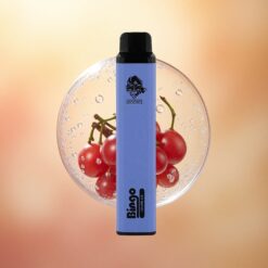 Aivono Aim Bingo 4000 Puffs Vynuogių Ledas 1000mAh 10mL
